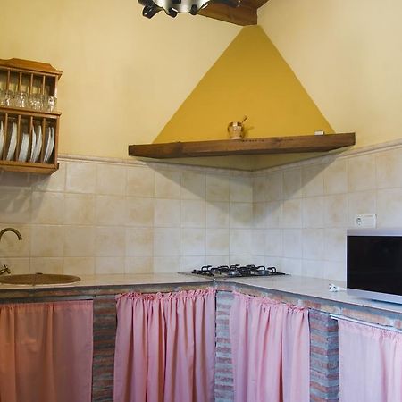 Rural Montes Malaga: Finca Pedregales Oda fotoğraf