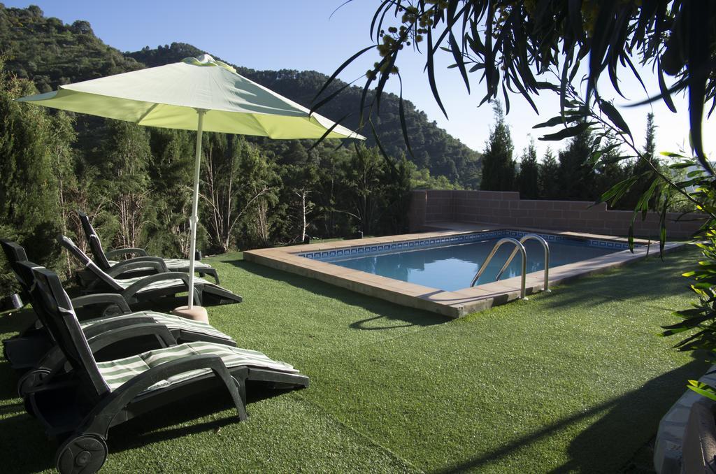 Rural Montes Malaga: Finca Pedregales Oda fotoğraf