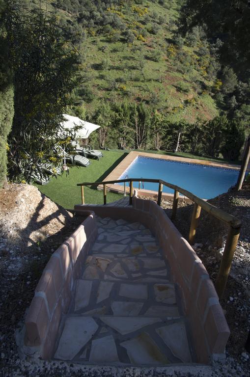 Rural Montes Malaga: Finca Pedregales Oda fotoğraf