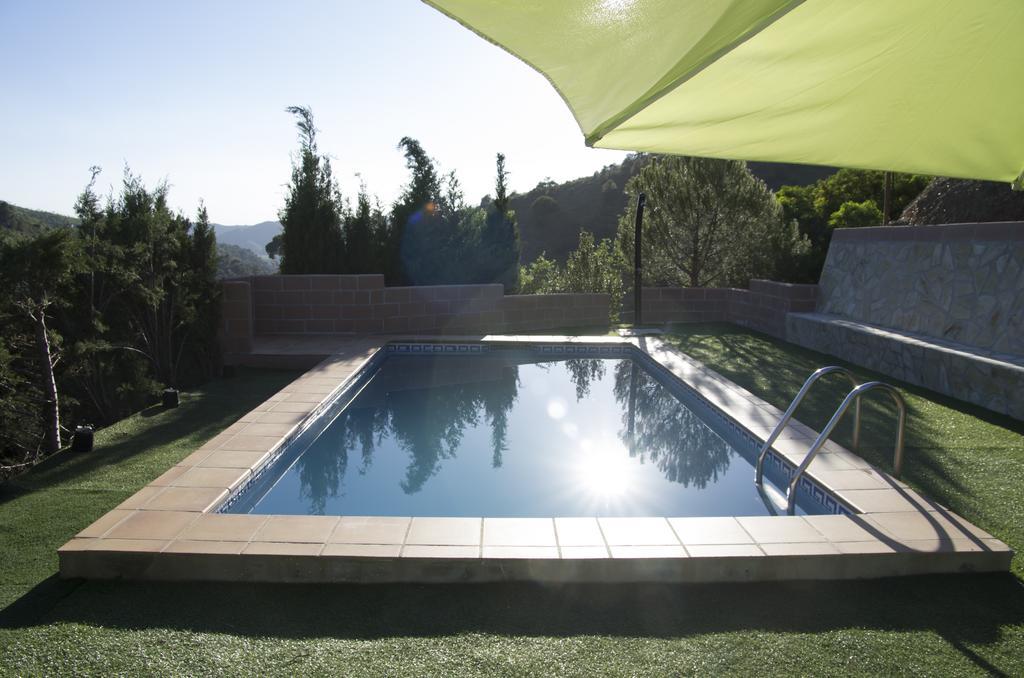 Rural Montes Malaga: Finca Pedregales Oda fotoğraf