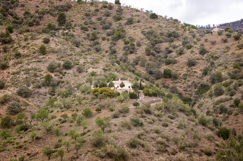 Rural Montes Malaga: Finca Pedregales Oda fotoğraf